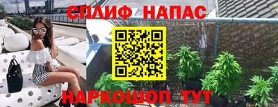 гашик Бийск